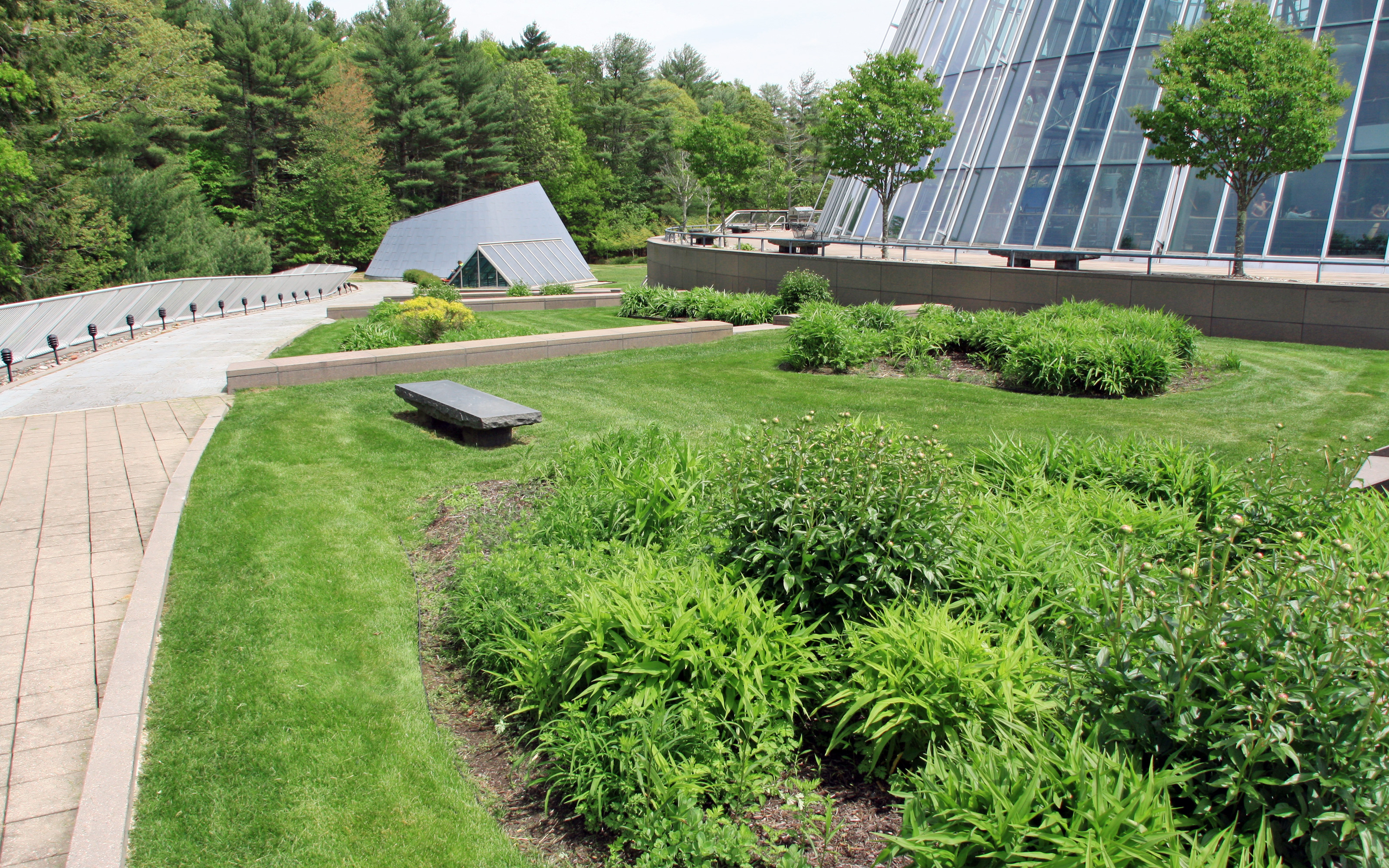 A subtly lit path leads visitors down from the roof into the adjacent forest. Pathway leading through green roof with shrubs and lawn
